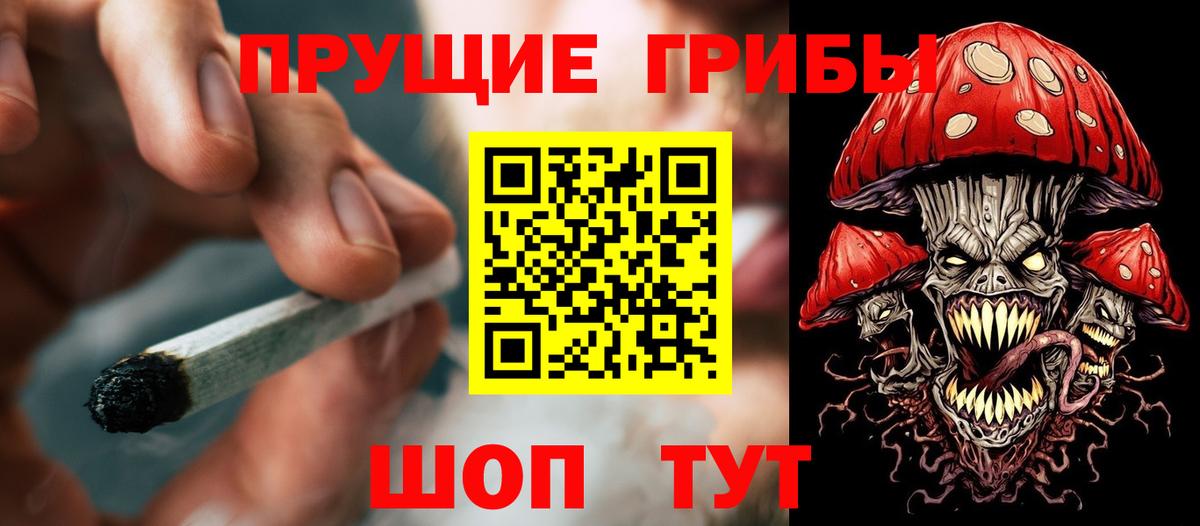 Галлюциногенные грибы Psilocybe  Вход с VPN  Подольск 